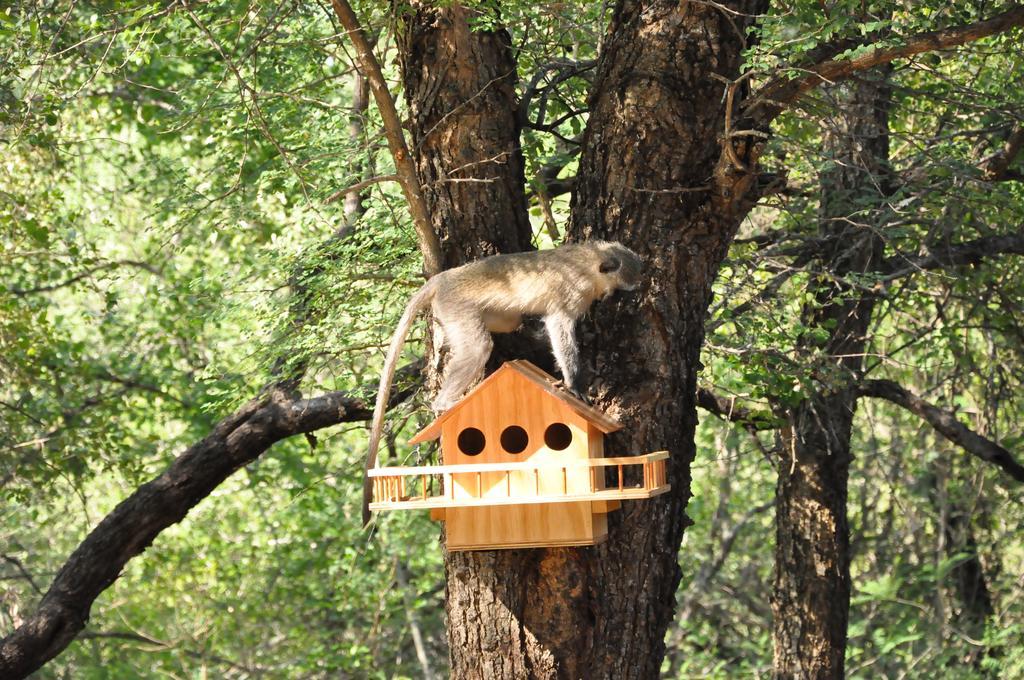 Treetops Marloth Park Exterior foto